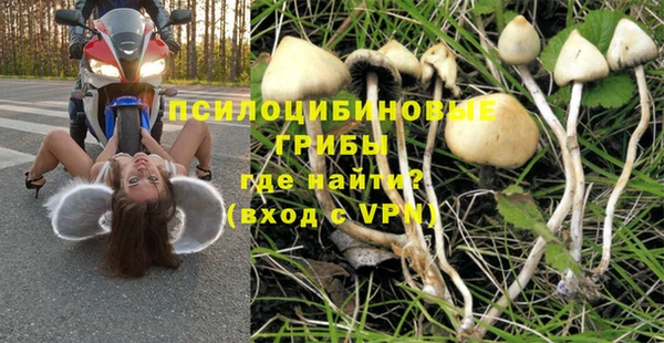 стафф Протвино